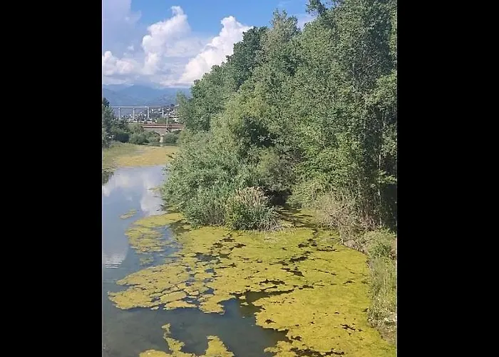Gasthuis Casa Jasmine Camporosso (Liguria)