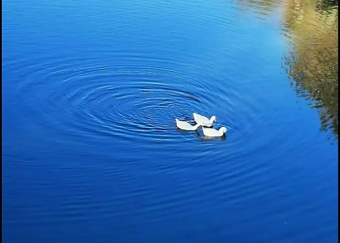 Casa Jasmine * Camporosso (Liguria)