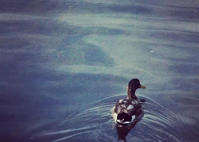 Gasthuis Casa Jasmine *