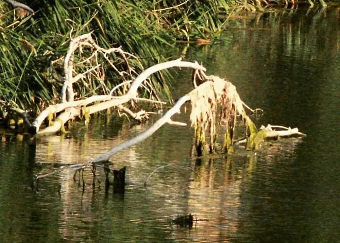 Gasthuis Casa Jasmine