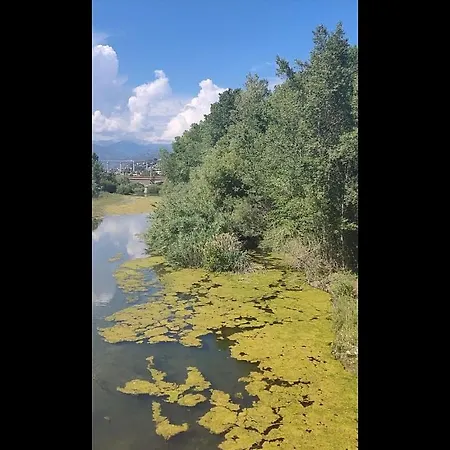 Pensjonat Casa Jasmine Camporosso (Liguria)