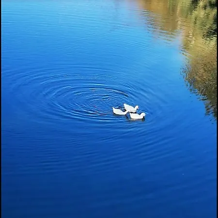 Casa Jasmine * Camporosso (Liguria)