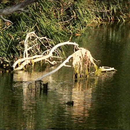 Konukevi Casa Jasmine